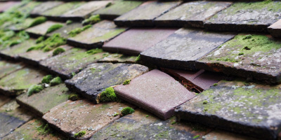Elmdon roof repair costs